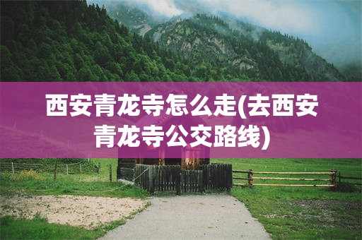 西安青龙寺怎么走(去西安青龙寺公交路线)
