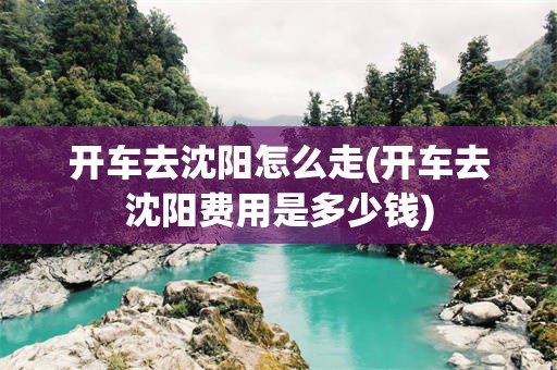 开车去沈阳怎么走(开车去沈阳费用是多少钱)