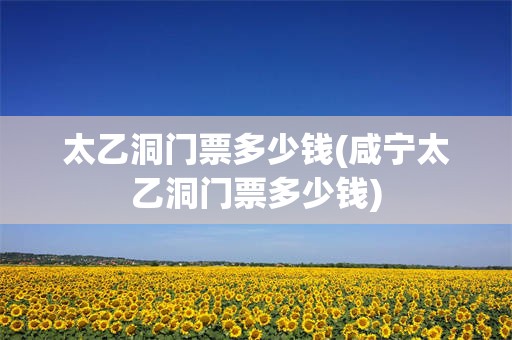 太乙洞门票多少钱(咸宁太乙洞门票多少钱)