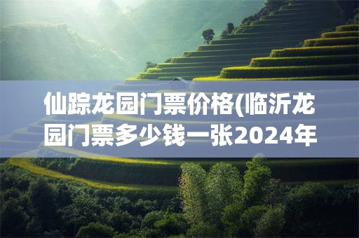 仙踪龙园门票价格(临沂龙园门票多少钱一张2024年)
