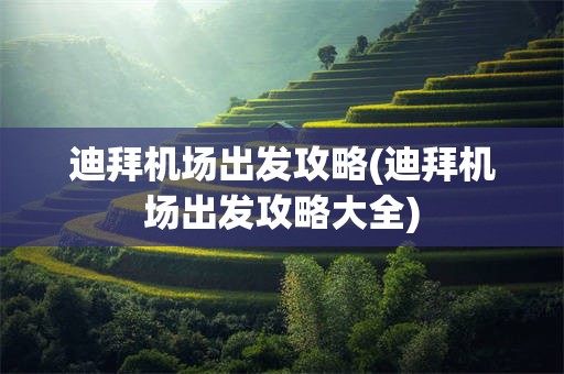 迪拜机场出发攻略(迪拜机场出发攻略大全)