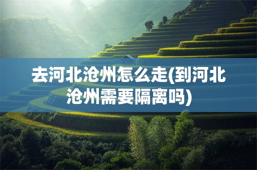 去河北沧州怎么走(到河北沧州需要隔离吗)