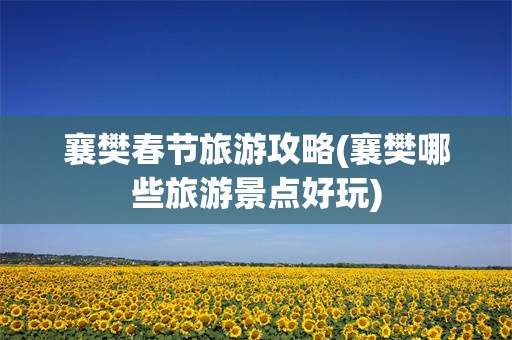襄樊春节旅游攻略(襄樊哪些旅游景点好玩)
