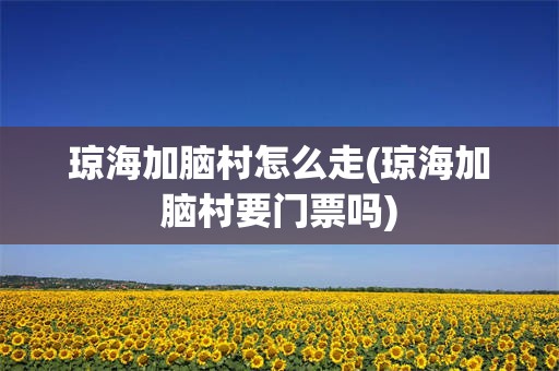 琼海加脑村怎么走(琼海加脑村要门票吗)