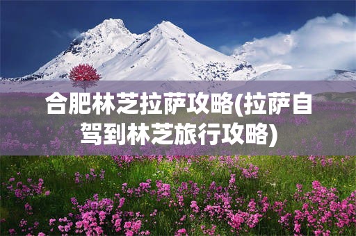 合肥林芝拉萨攻略(拉萨自驾到林芝旅行攻略)