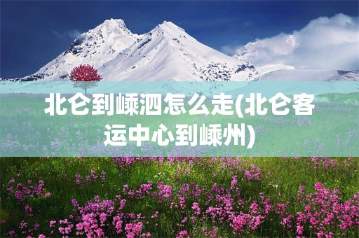 北仑到嵊泗怎么走(北仑客运中心到嵊州)