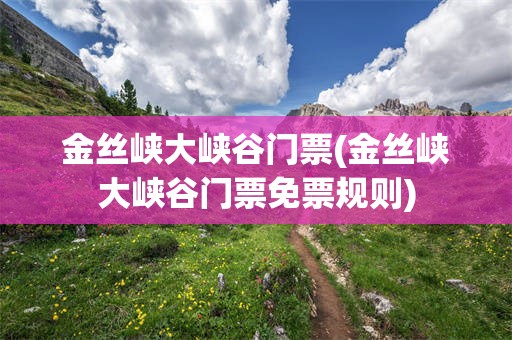 金丝峡大峡谷门票(金丝峡大峡谷门票免票规则)