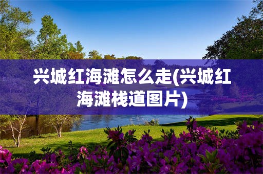 兴城红海滩怎么走(兴城红海滩栈道图片)
