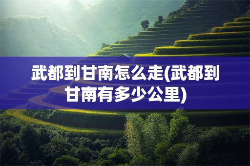 武都到甘南怎么走(武都到甘南有多少公里)