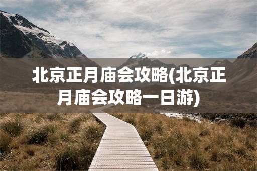 北京正月庙会攻略(北京正月庙会攻略一日游)