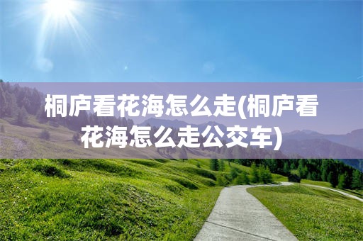 桐庐看花海怎么走(桐庐看花海怎么走公交车)