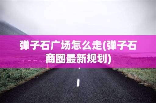 弹子石广场怎么走(弹子石商圈最新规划)