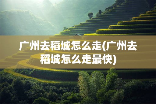 广州去稻城怎么走(广州去稻城怎么走最快)