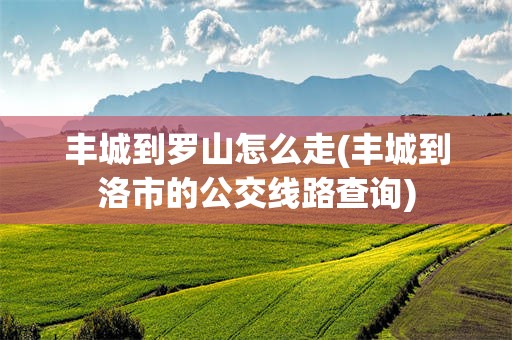 丰城到罗山怎么走(丰城到洛市的公交线路查询)