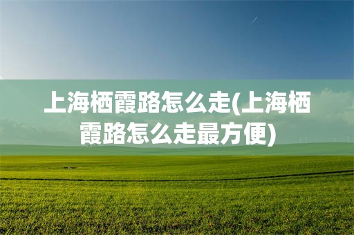 上海栖霞路怎么走(上海栖霞路怎么走最方便)