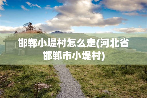 邯郸小堤村怎么走(河北省邯郸市小堤村)