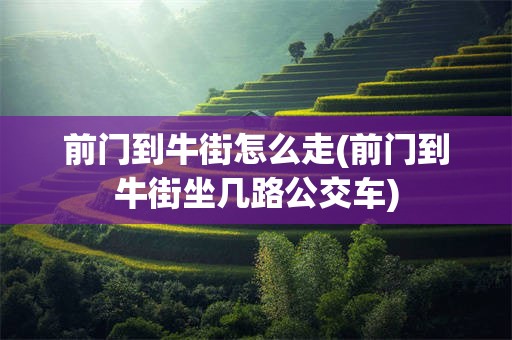 前门到牛街怎么走(前门到牛街坐几路公交车)