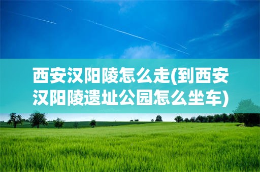 西安汉阳陵怎么走(到西安汉阳陵遗址公园怎么坐车)