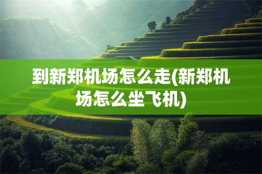 到新郑机场怎么走(新郑机场怎么坐飞机)