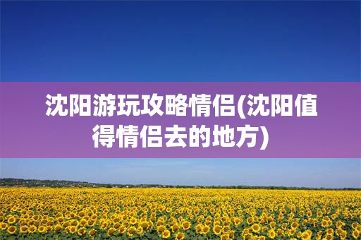 沈阳游玩攻略情侣(沈阳值得情侣去的地方)