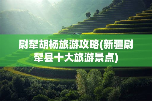 尉犁胡杨旅游攻略(新疆尉犁县十大旅游景点)