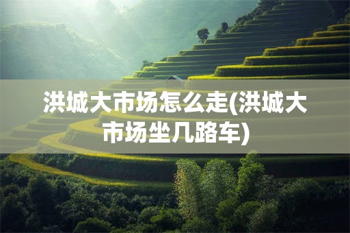 洪城大市场怎么走(洪城大市场坐几路车)