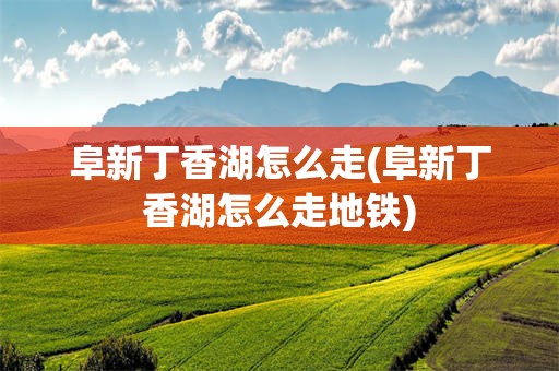 阜新丁香湖怎么走(阜新丁香湖怎么走地铁)