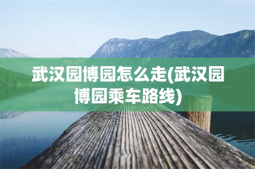 武汉园博园怎么走(武汉园博园乘车路线)