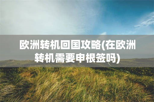 欧洲转机回国攻略(在欧洲转机需要申根签吗)