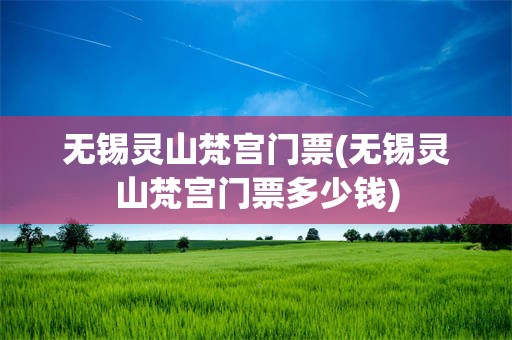 无锡灵山梵宫门票(无锡灵山梵宫门票多少钱)