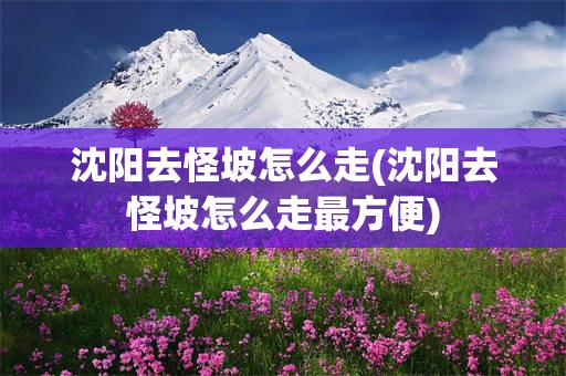 沈阳去怪坡怎么走(沈阳去怪坡怎么走最方便)