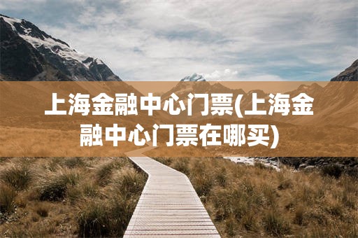 上海金融中心门票(上海金融中心门票在哪买)