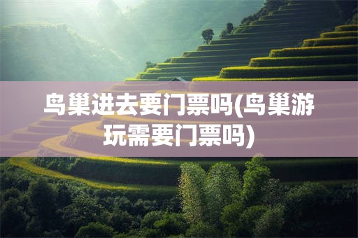 鸟巢进去要门票吗(鸟巢游玩需要门票吗)