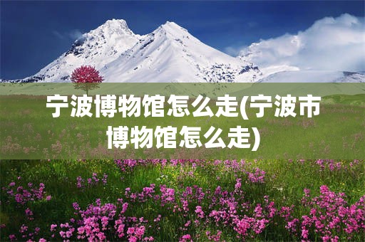 宁波博物馆怎么走(宁波市博物馆怎么走)