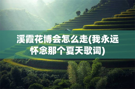 溪霞花博会怎么走(我永远怀念那个夏天歌词)