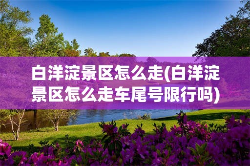 白洋淀景区怎么走(白洋淀景区怎么走车尾号限行吗)