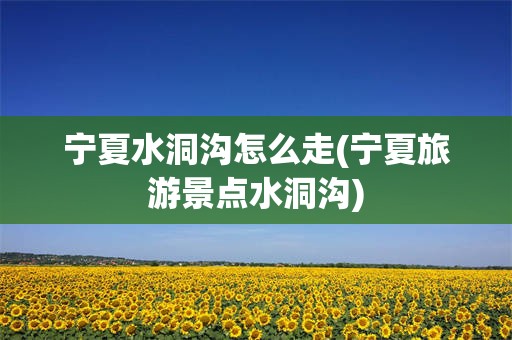 宁夏水洞沟怎么走(宁夏旅游景点水洞沟)