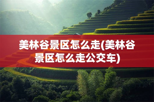 美林谷景区怎么走(美林谷景区怎么走公交车)