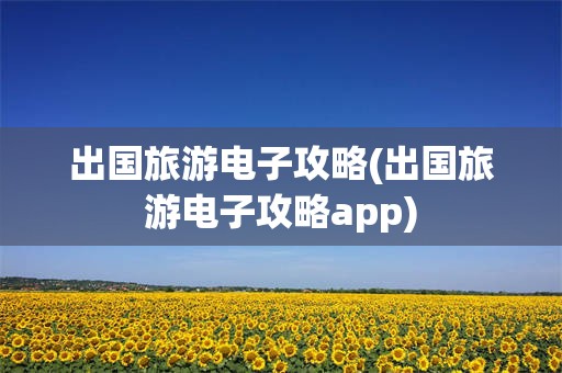 出国旅游电子攻略(出国旅游电子攻略app)