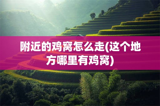 附近的鸡窝怎么走(这个地方哪里有鸡窝)