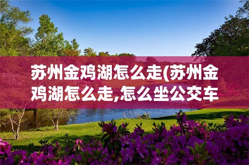 苏州金鸡湖怎么走(苏州金鸡湖怎么走,怎么坐公交车)