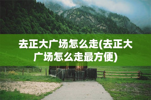 去正大广场怎么走(去正大广场怎么走最方便)