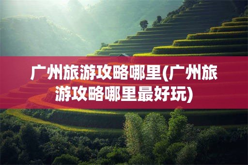 广州旅游攻略哪里(广州旅游攻略哪里最好玩)
