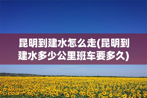 昆明到建水怎么走(昆明到建水多少公里班车要多久)