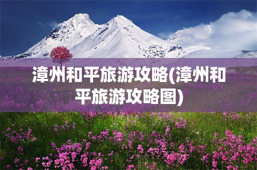 漳州和平旅游攻略(漳州和平旅游攻略图)