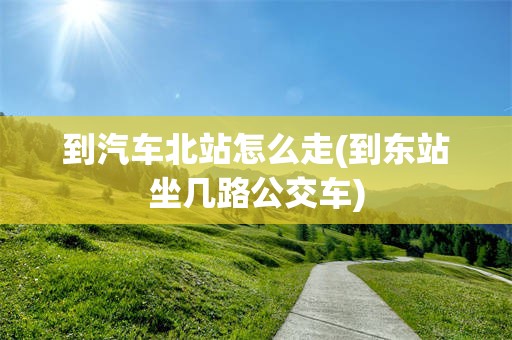 到汽车北站怎么走(到东站坐几路公交车)