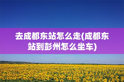 去成都东站怎么走(成都东站到彭州怎么坐车)