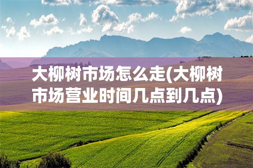 大柳树市场怎么走(大柳树市场营业时间几点到几点)