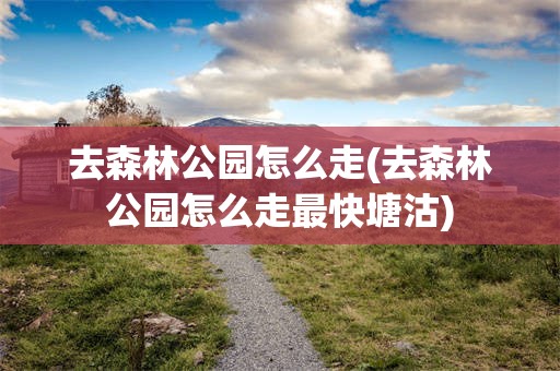 去森林公园怎么走(去森林公园怎么走最快塘沽)