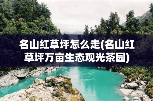 名山红草坪怎么走(名山红草坪万亩生态观光茶园)